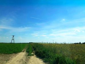 Skradzione bydło w miejscowości Bedoń Nowy w woj. łódzkim. Pokrzywdzony farmer prosi o pomoc ekipę Krzysztofa Rutkowskiego!
