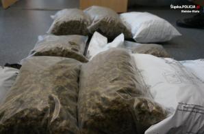 Mocne uderzenie w narkobiznes