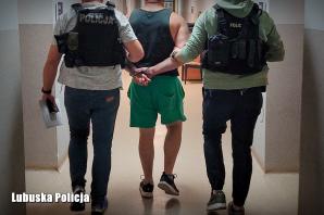 [VIDEO] Niebezpieczna szarża w centrum Zielonej Góry. Pirat drogowy zatrzymany i tymczasowo aresztowany