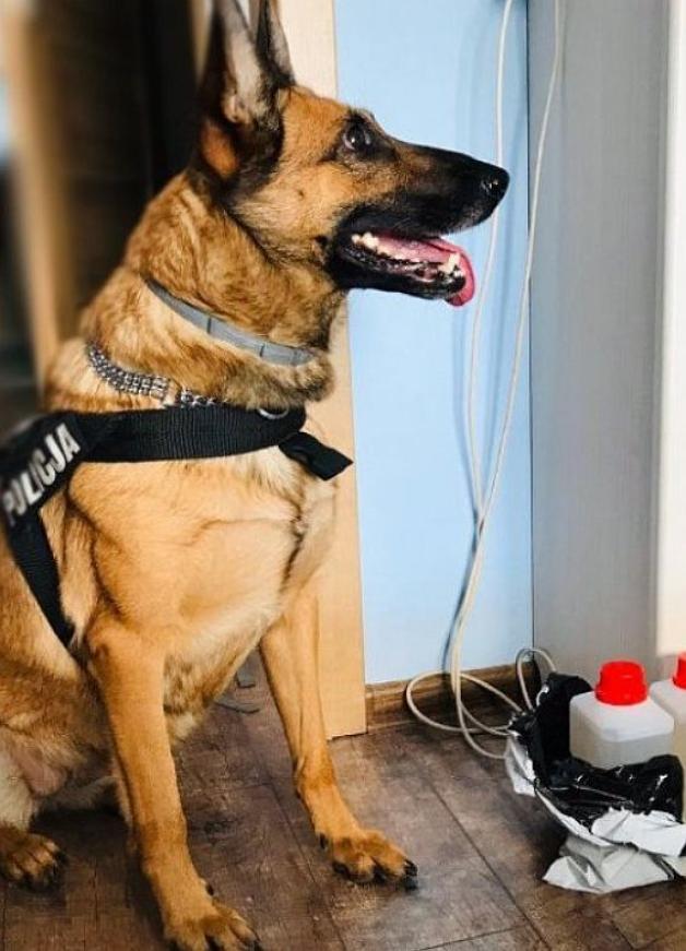 Policjanci zabezpieczyli blisko 13 litrów GBL i zatrzymali 43-latka